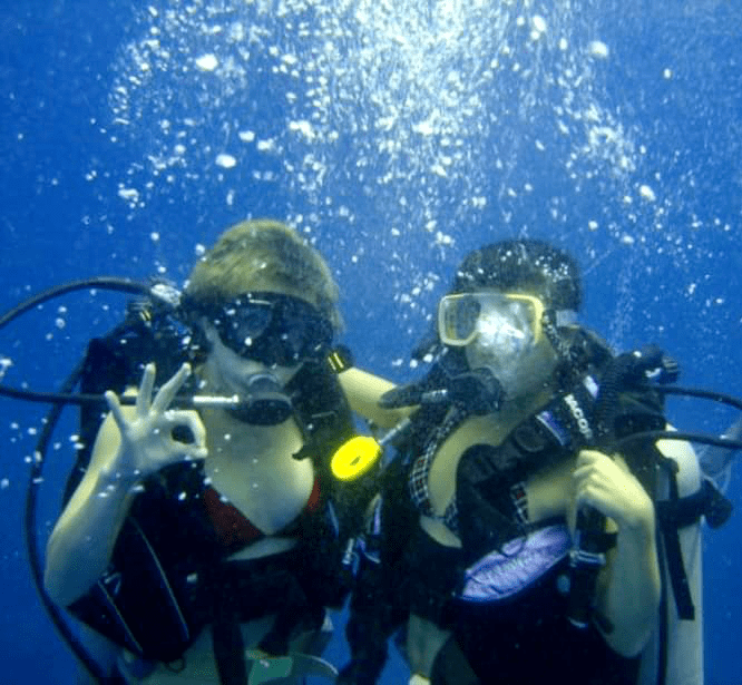 A Reunion in the&nbsp;Caribbean