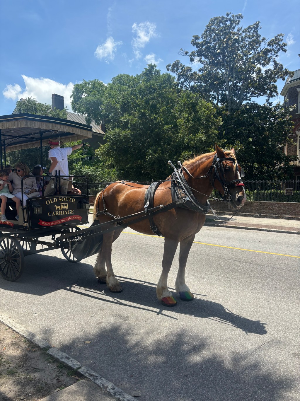 City Folk in&nbsp;Charleston