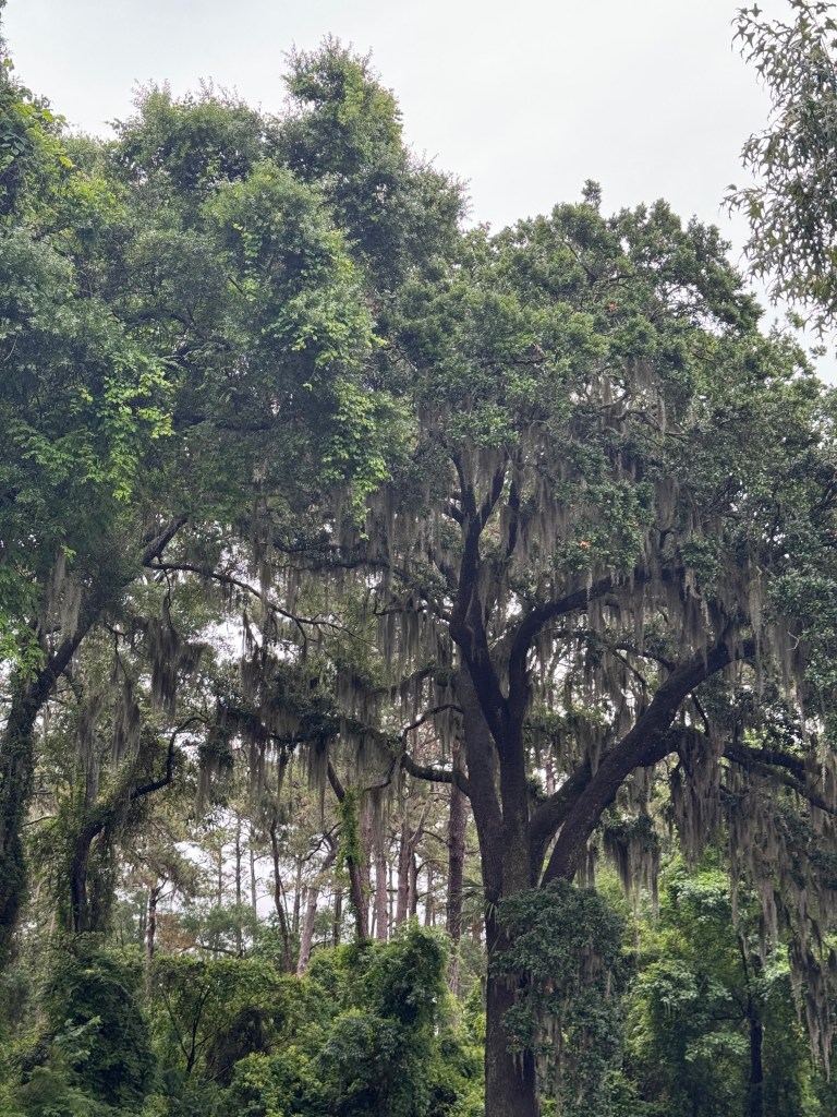 The one where we flee Florida for Georgia.  